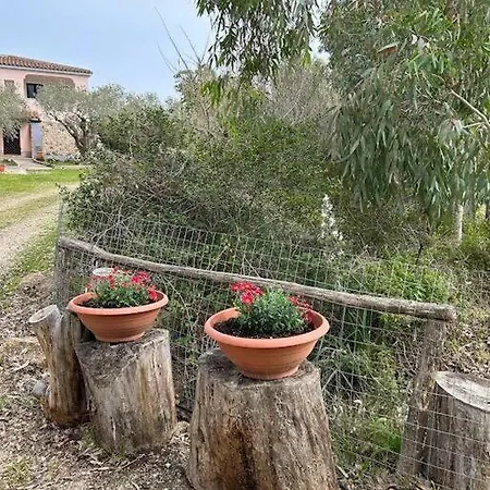 Domo Su Neulache App Giallo - Sos Alinos Apartment